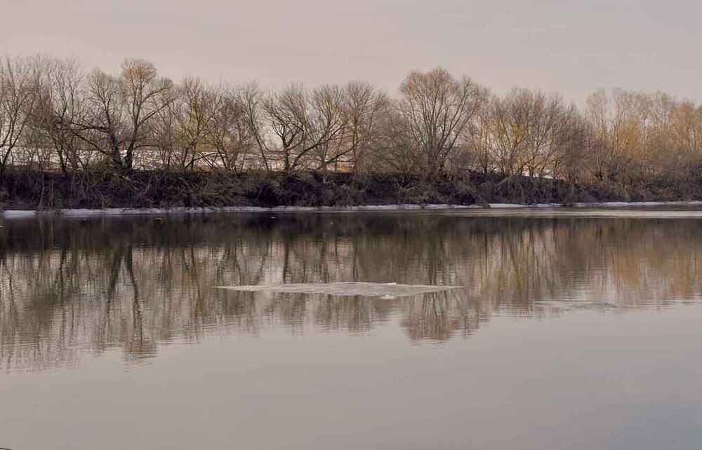 Photograph by Владимир Шульгин