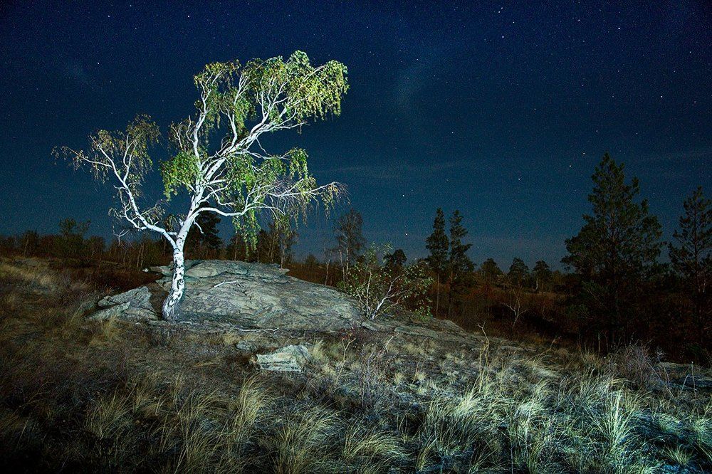 Карагайский бор 2