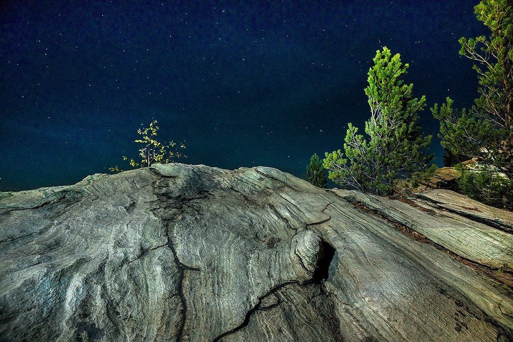 Карагайский бор 3