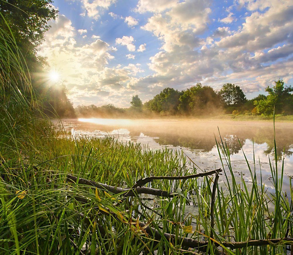 Рассвет в лесном пруду