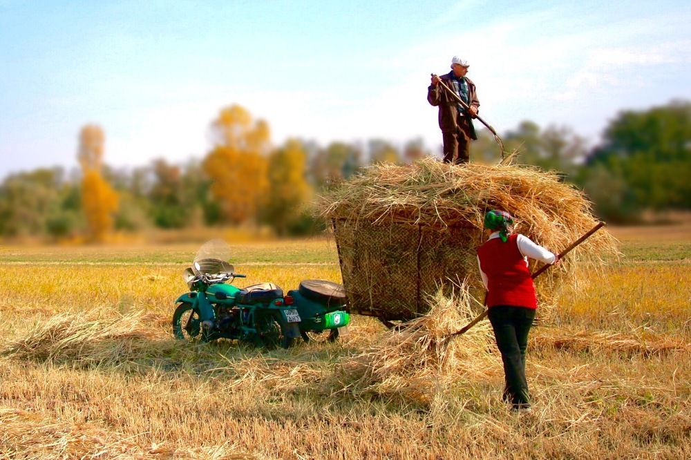 Для кормилицы