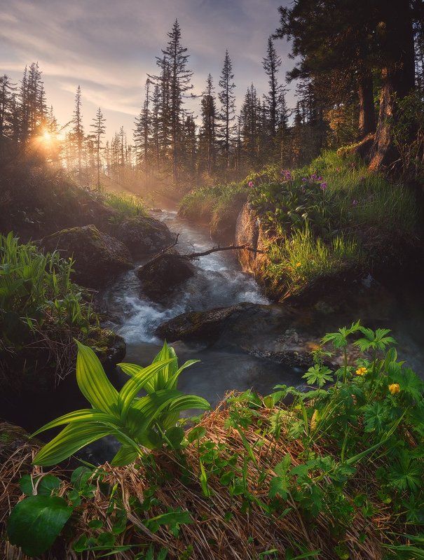 Aleksandr Riabenkii, Russia