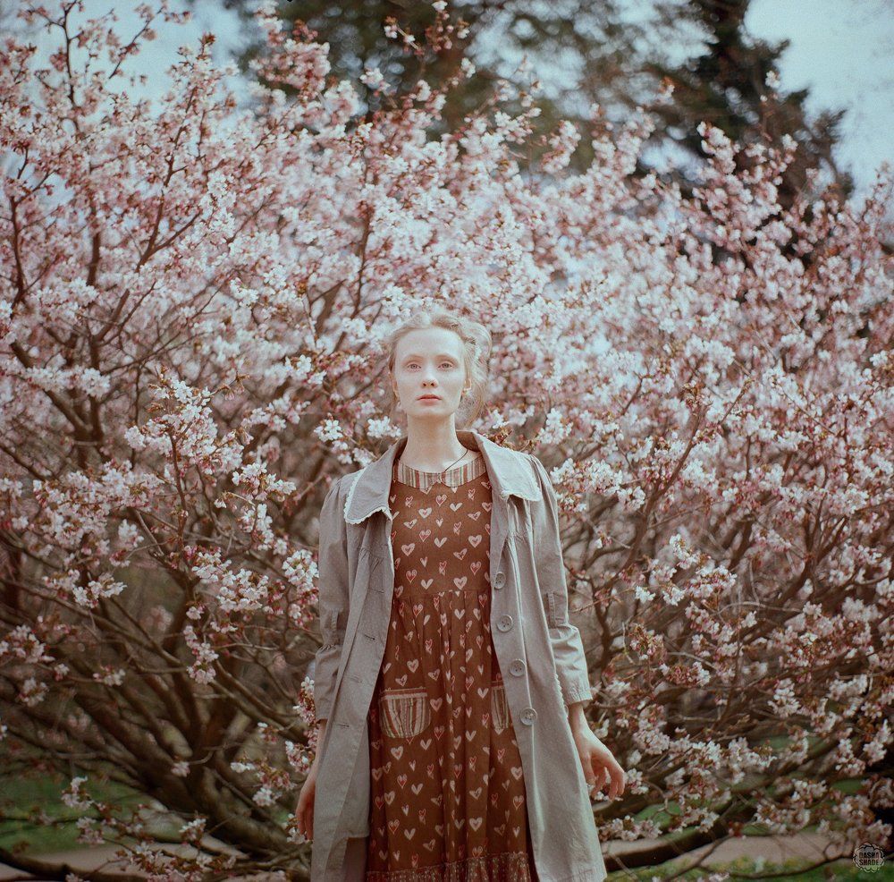 Фотография автора Дарья