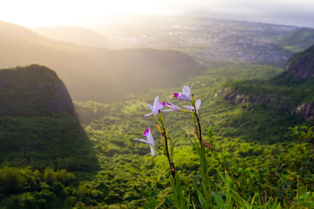 Проважая солнце.