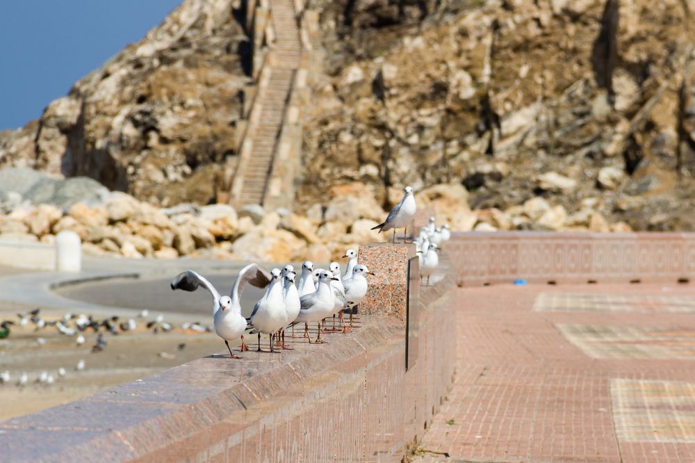 Первый - пошёл!!!