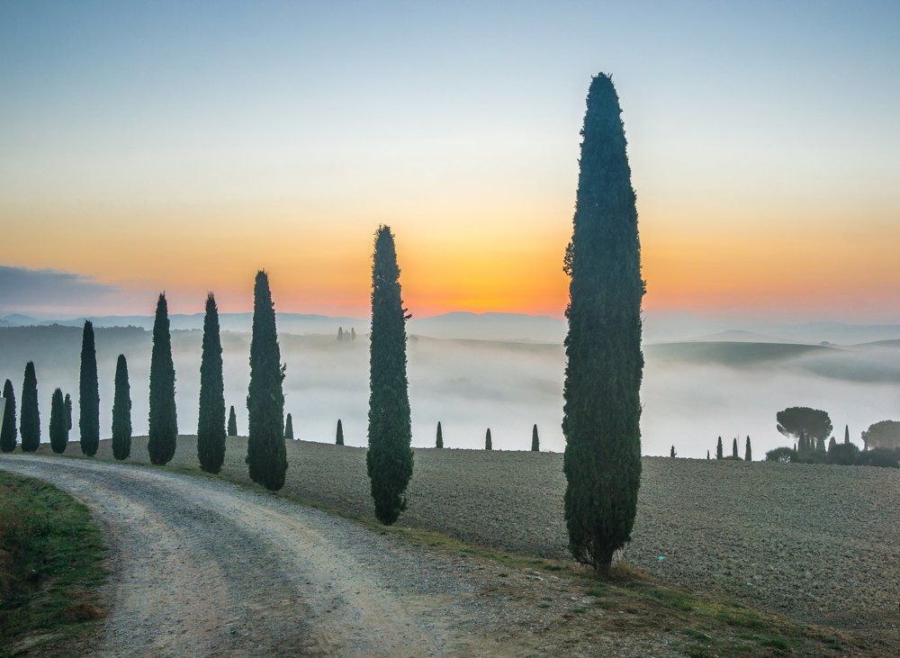 ДОРОГА В НЕБО. Из серии "Toscana - amore mio"