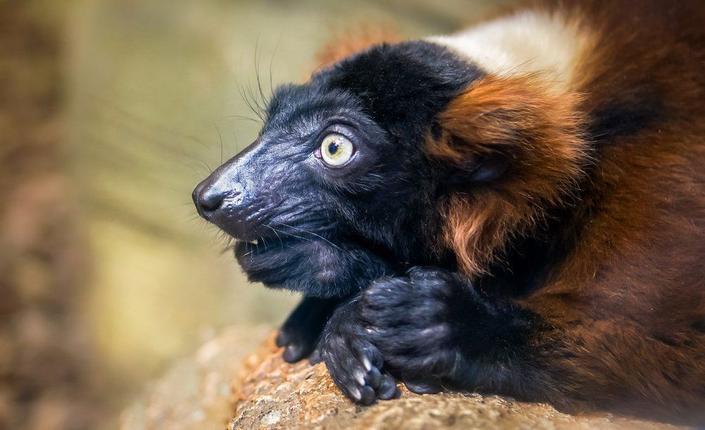 ДУМЫ О ВЕЧНОМ