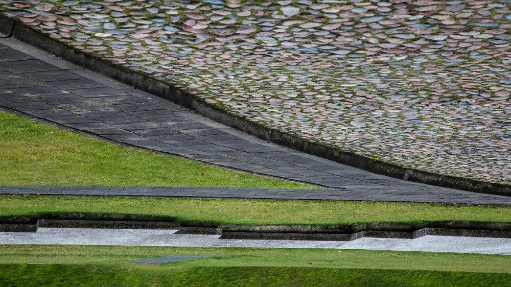 Photograph by Anna Markova