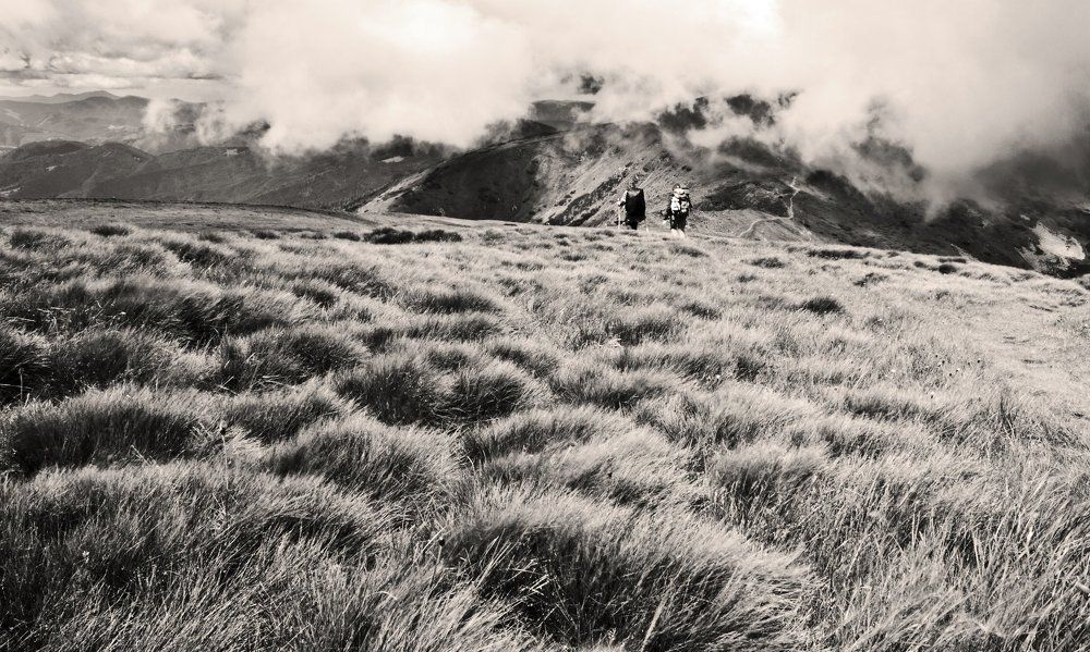 Путешественники