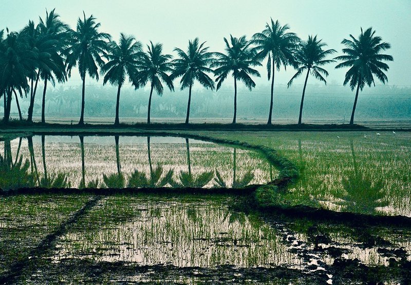 Raaj Kiran Rayavarapu, India