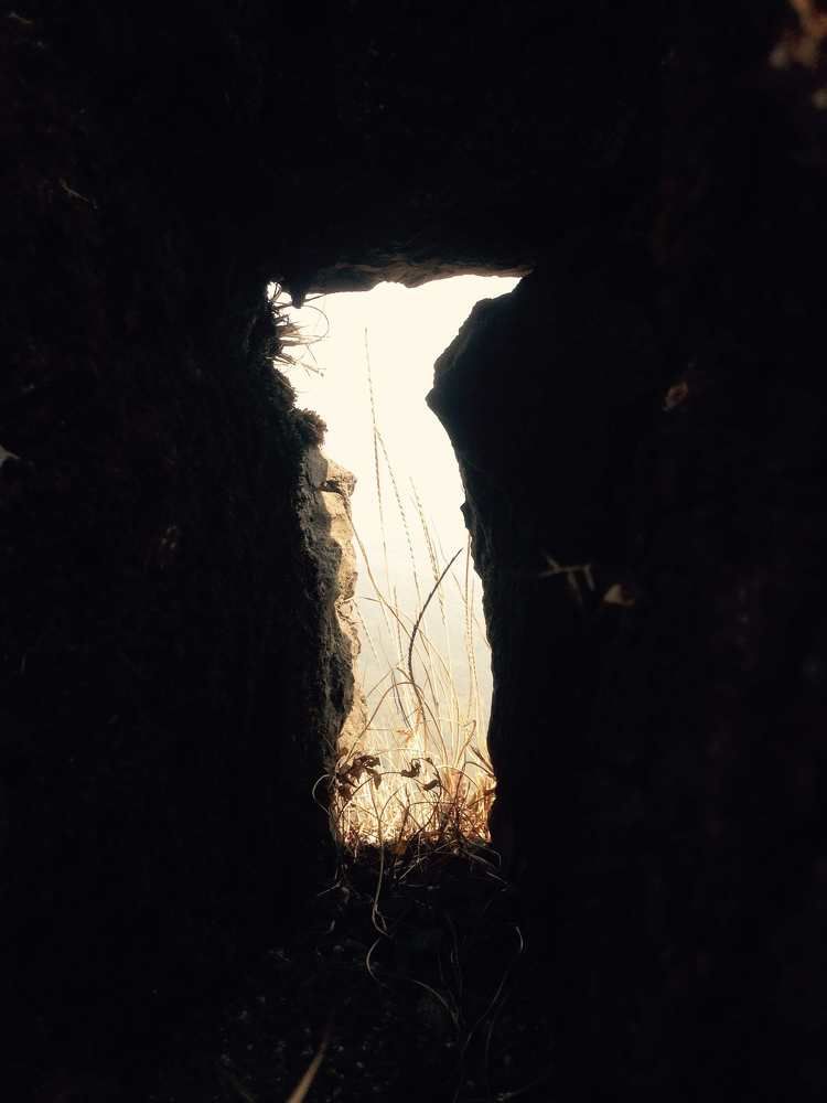 Natures window