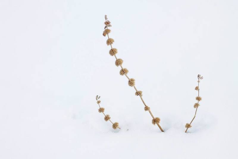 Anna Karamurzina, Kyrgyzstan (Kyrgyzstan)