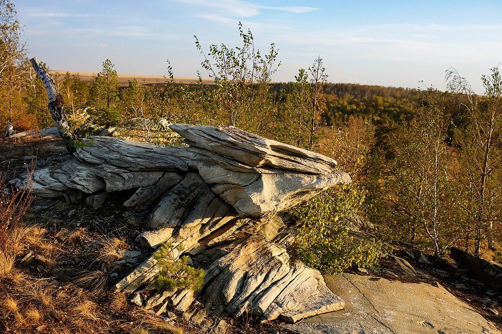 Карагайский бор5