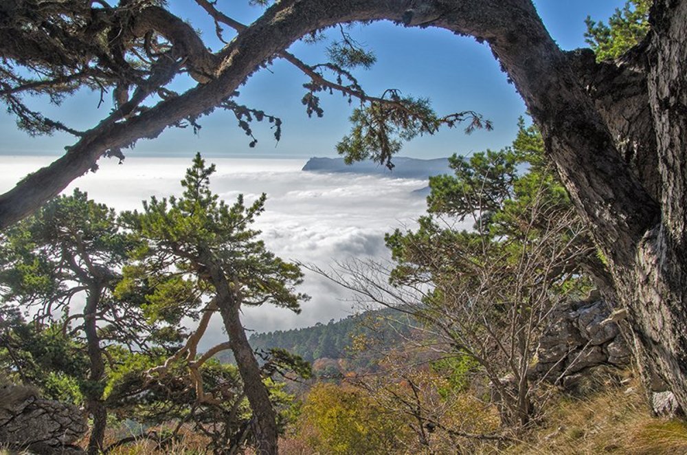 В Крымских горах