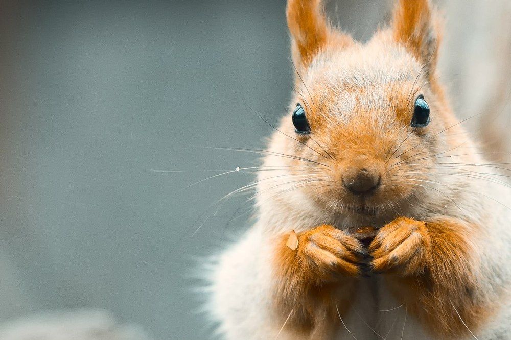 Photograph by Anna Markova