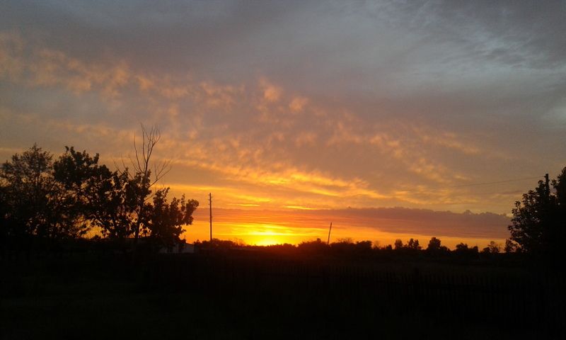 Alyona Starodubtceva, Kazakhstan