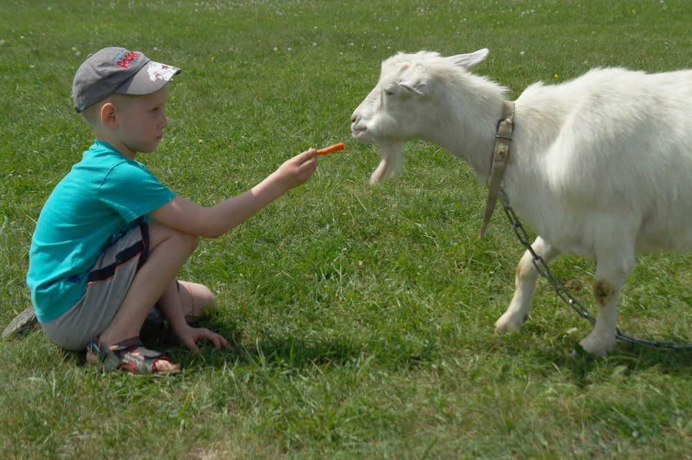 приятного аппетита!