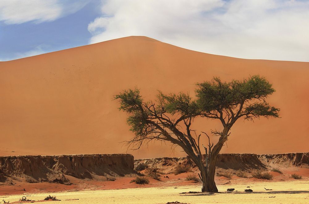 Дюны Намибии