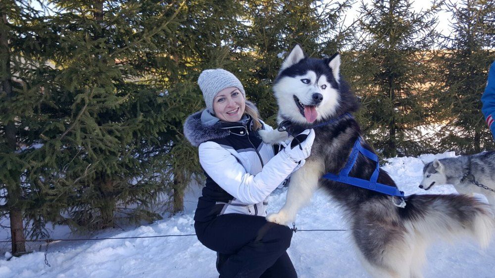 люди и собака - лучшие друзья