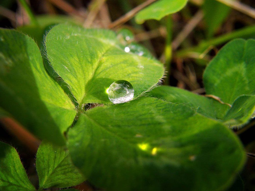 Photograph by Дарья