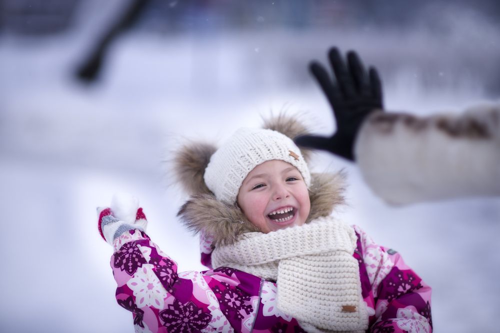 "В один зимний день"