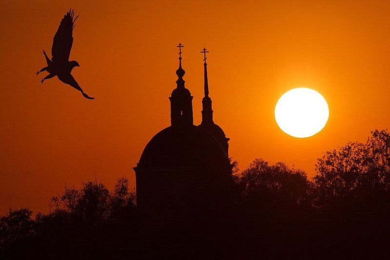 Руслан Лобанов, Russia