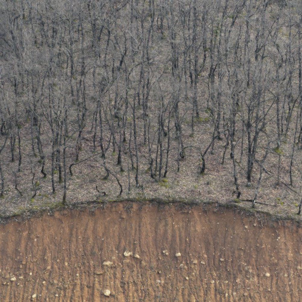 Ассоциация