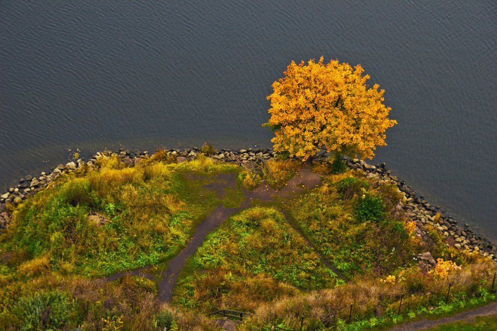 Одиночество