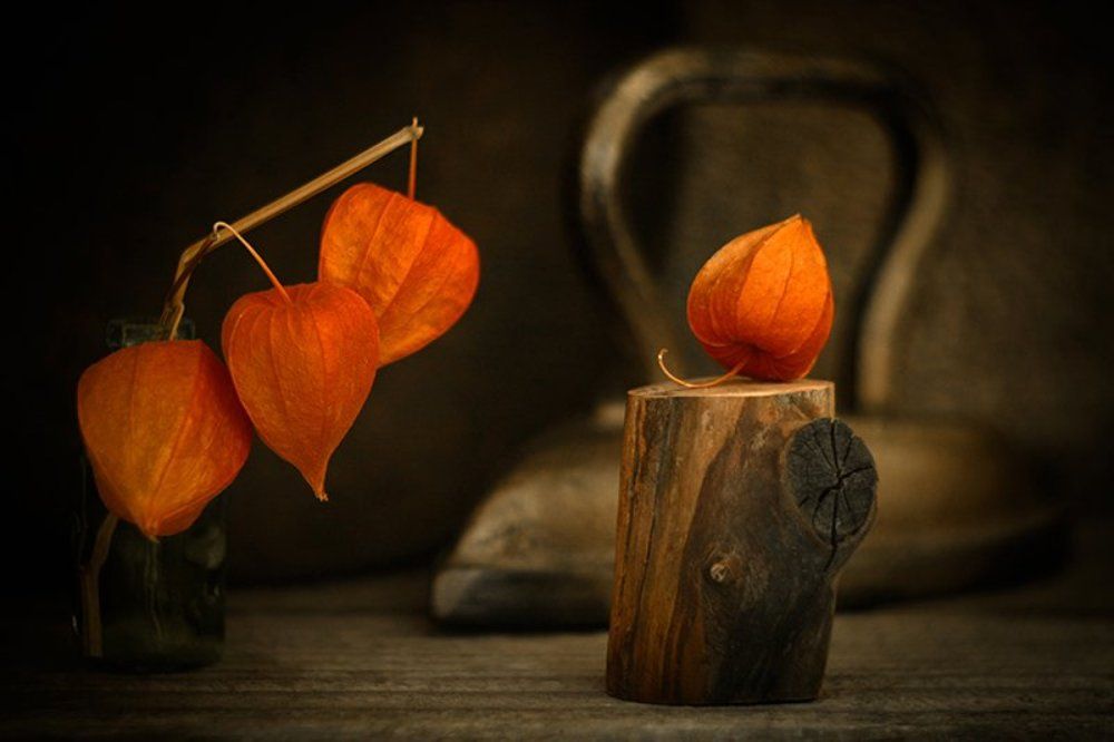 Колокольчики