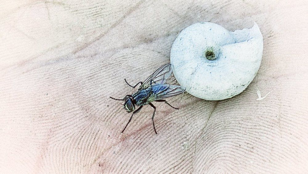 Знаки и линии