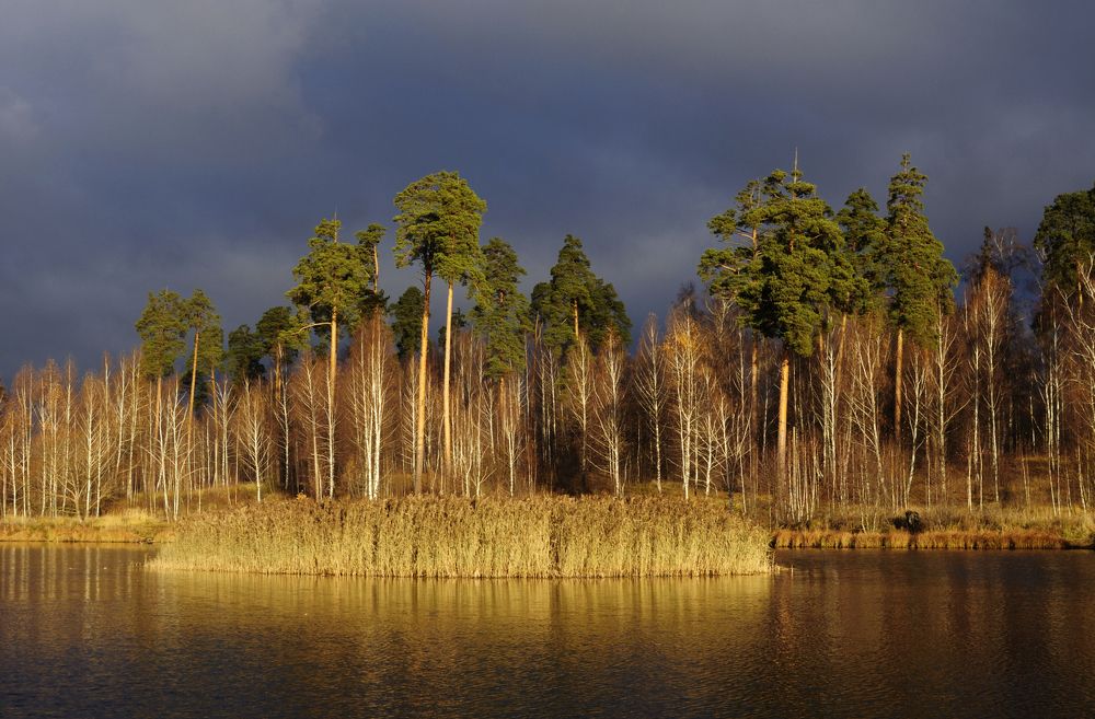 И редкий солнца луч