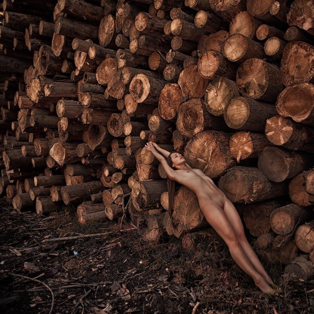 Photograph by PhotoShag