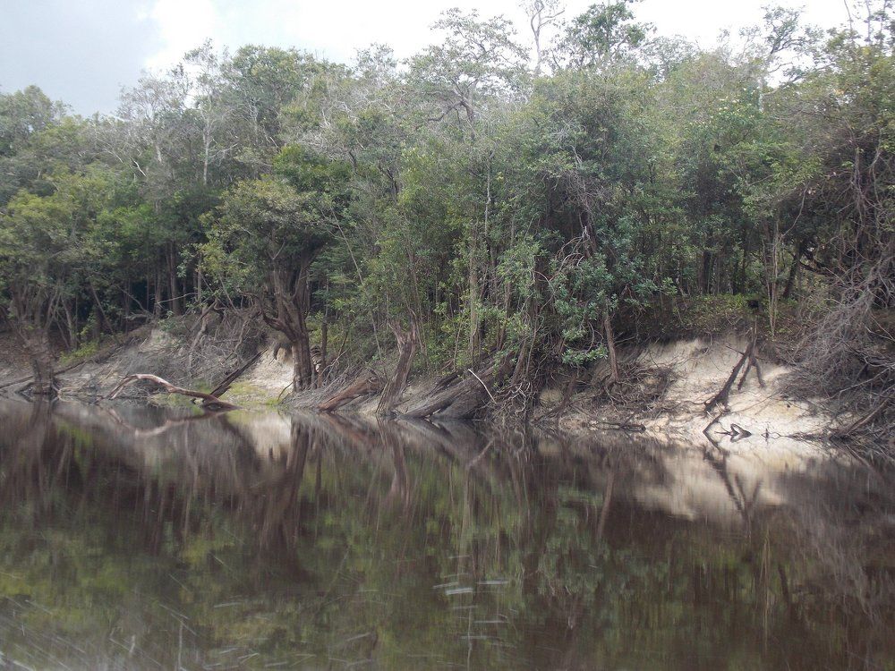 AMAZÔNIA