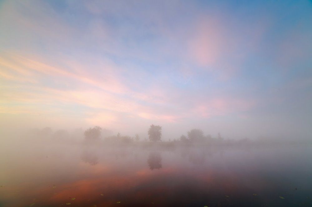 Растворяясь в тумане.