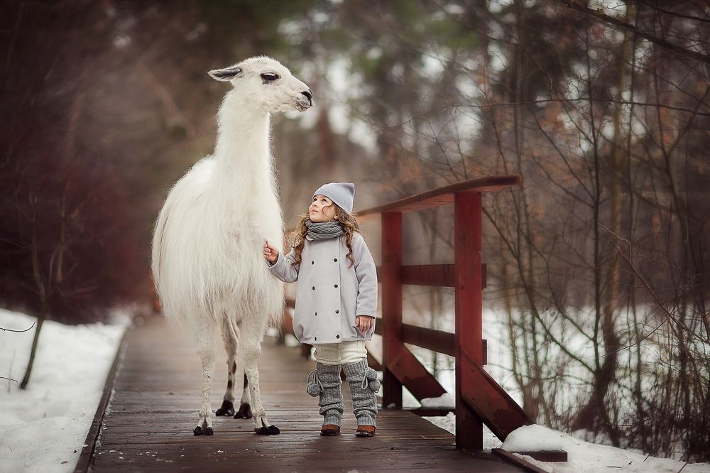 Немного волшебства