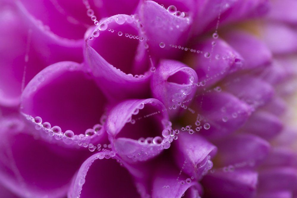 холодным утром