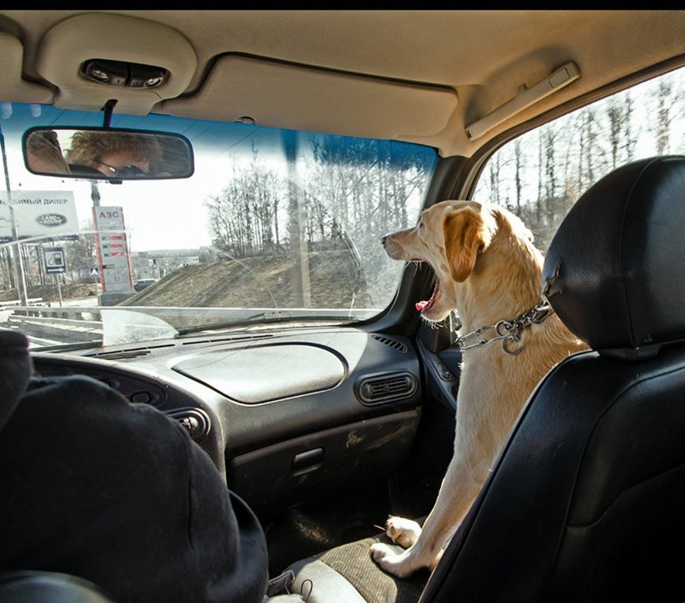 Долгая дорога