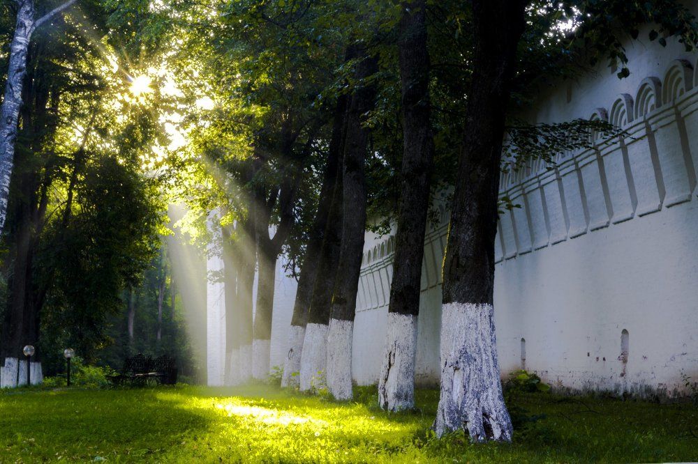 Лучик солнца