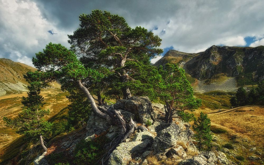 Раздвигающие скалы...