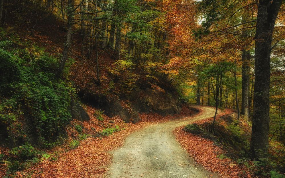 Вниз по горной дорожке...