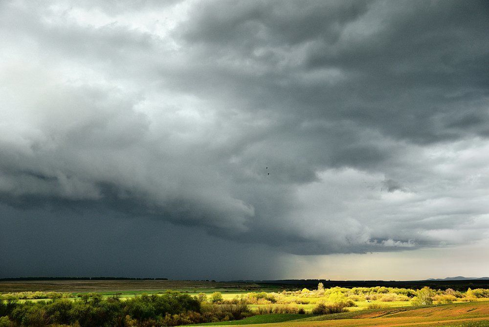 Перед грозой