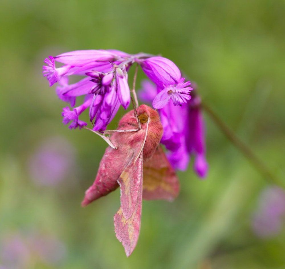 Перед взлетом