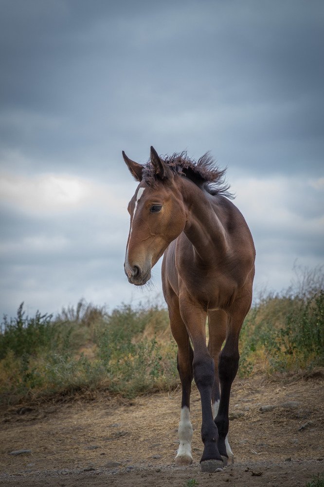 Юная красавица