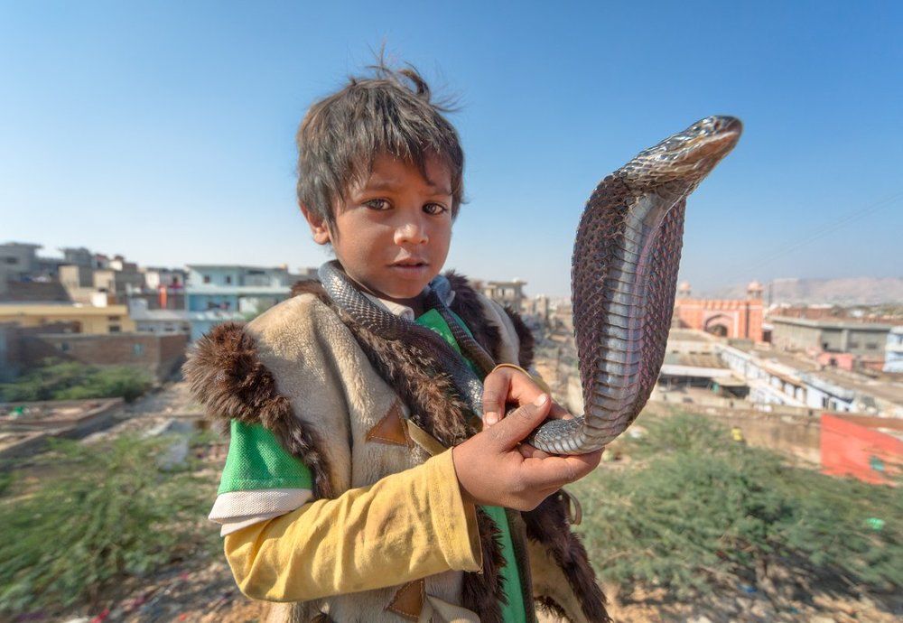 Льбимые игрушки