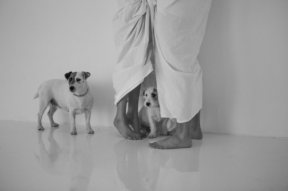 Охрана поцелуя.