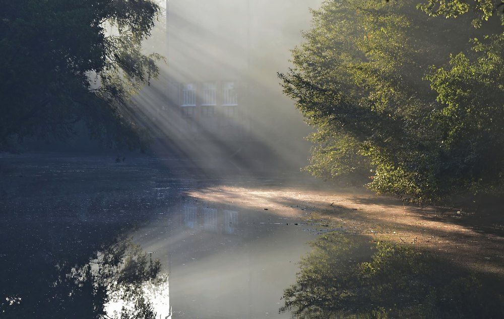 Городское утро