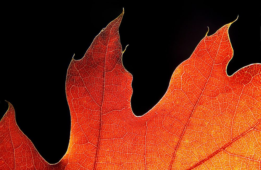 Осенний пожар