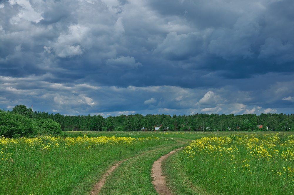 Перед грозой