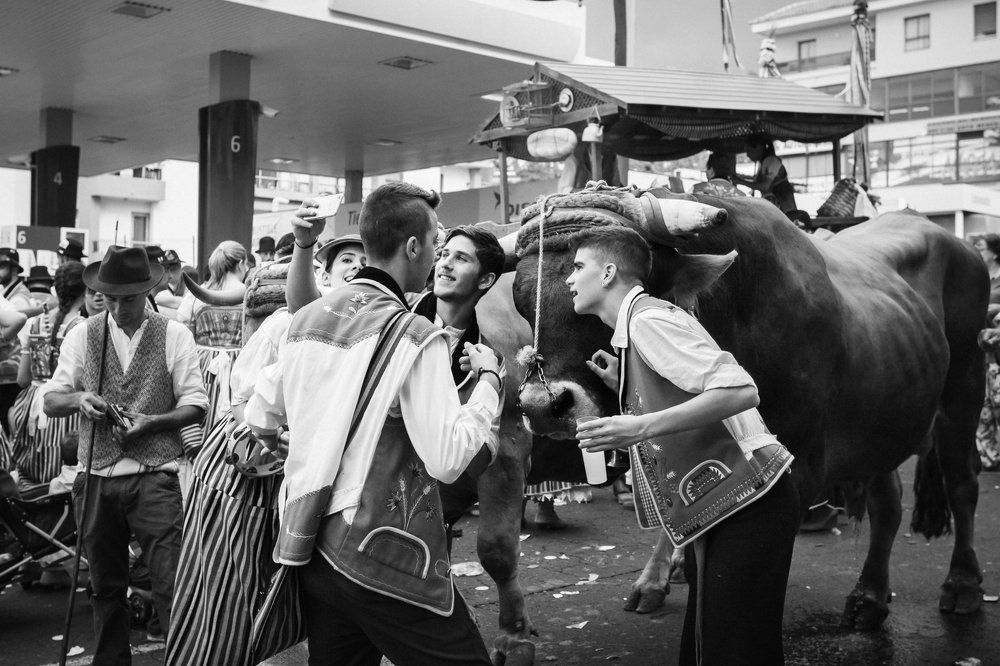 "Сэлфи" с быком