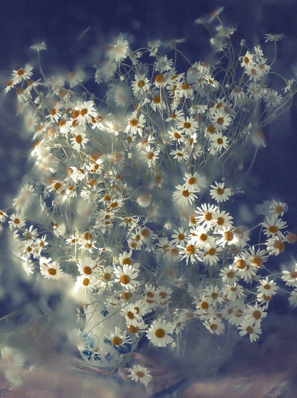 сергей, Russia